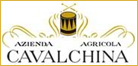 az. agr. cavalchina, produttori vino, vini del custoza
